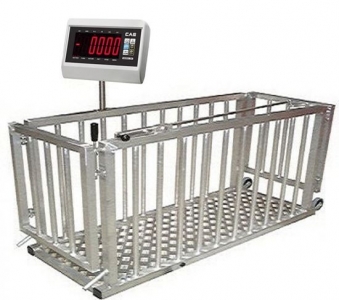 Cân Động Vật từ 300kg đến 5 tấn Cas Hàn Quốc